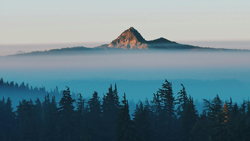 外用药细分龙头九游会老哥必备的交流社区论坛制药登陆A股，打造“药箱”IP矩阵高筑护城河